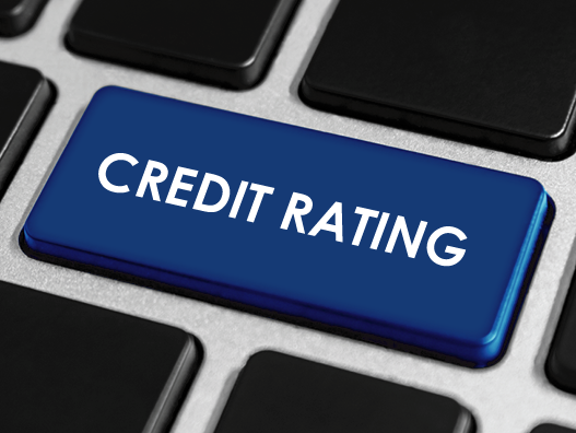 About Credit Rating